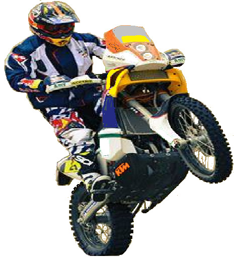 Caselli Wheelie